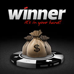 Winner poker room review